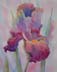 Painting of Iris
